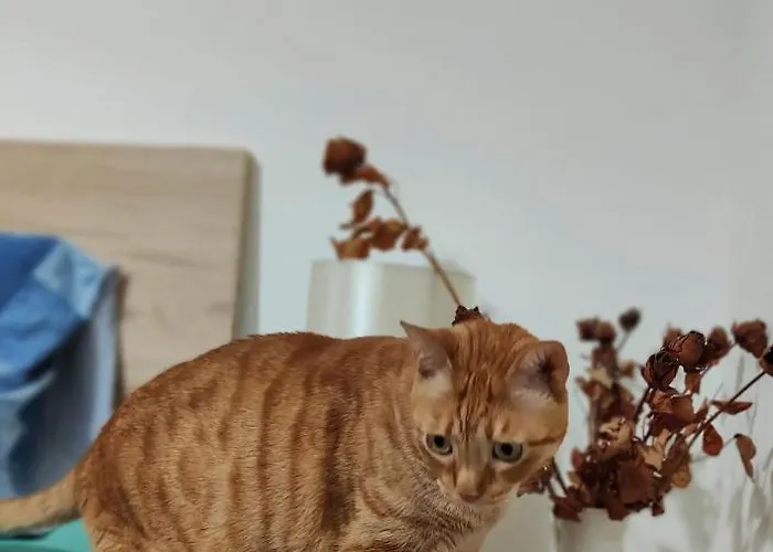 Entire I Pool Access I Walk To Πανσιόν 4*